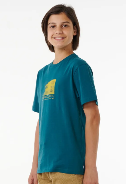 boys rip curl t-shirt